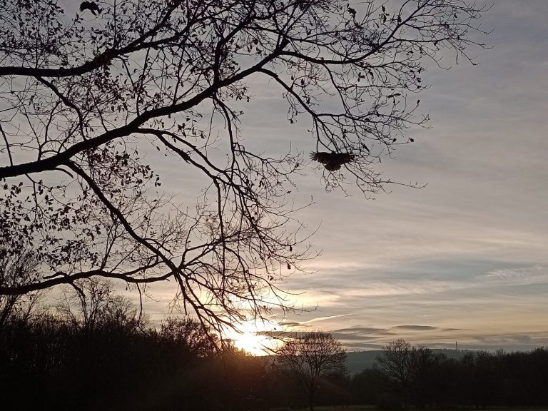 Symbolbild für Erschöpfung und Energiemangel – Ruhe und natürliche Balance