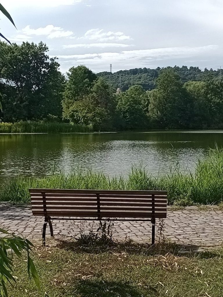 Symbolbild für ganzheitliche Begleitung bei Migräne und Kopfschmerzen